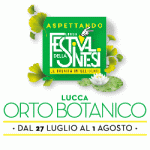 Banner Dillo in Sintesi 2020