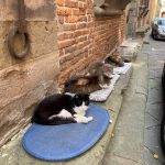 WhatsApp Image 2021-04-20 at 11.04.36