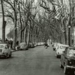 mura 1964