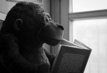 Che cosa deve ancora succedere per decidersi a fondare gli Stati Uniti d’Europa? Gorilla Lettore by Federico Feroldi