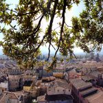 LuccaCitta_TopImg
