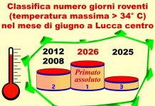 Giugno da primato per le giornate roventi. La soluzione è aumentare le zone alberate fino al trenta per cento dell’area urbana